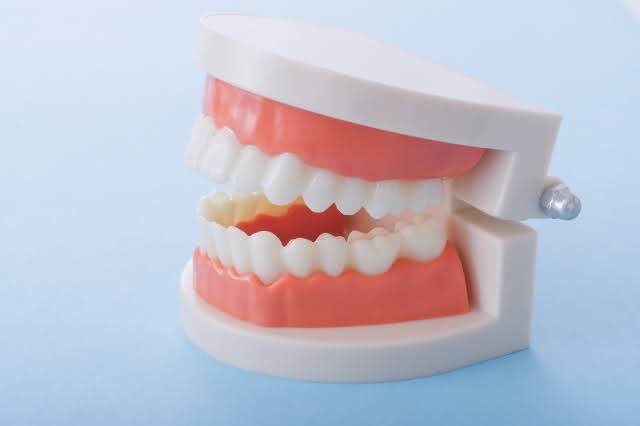入れ歯治療